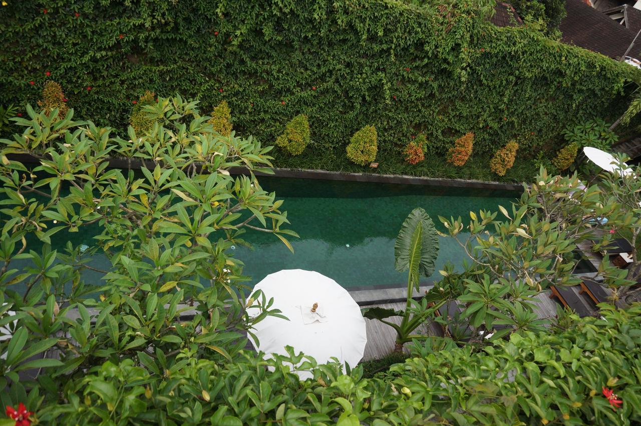 Hotel Sapodilla 4*